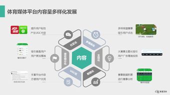 數(shù)據(jù)驅(qū)動(dòng)未來 199it互聯(lián)網(wǎng)數(shù)據(jù)服務(wù)的核心價(jià)值與多元化發(fā)展