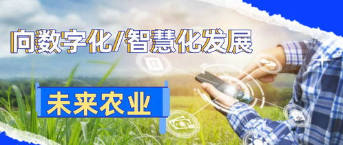 數字化鄉村智能管理 引領農業革命，助推農民增產致富